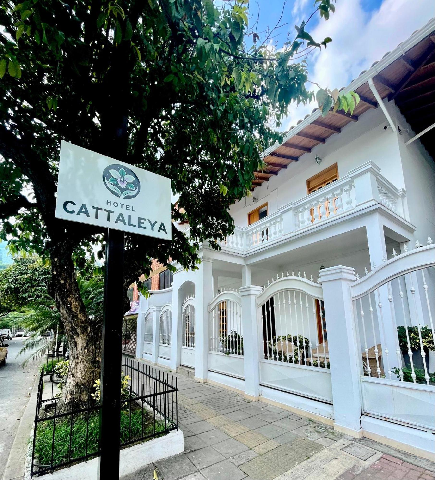 Hotel Cattaleya City Калі Екстер'єр фото